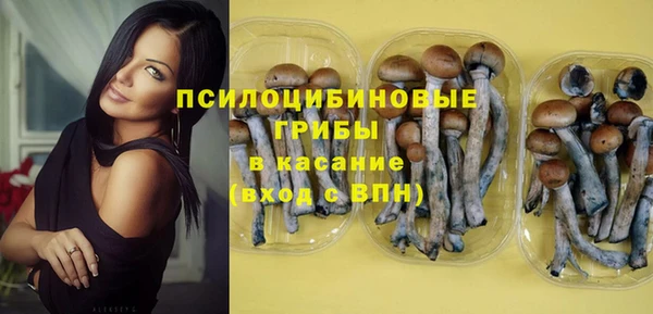 мяу мяу мука Навашино