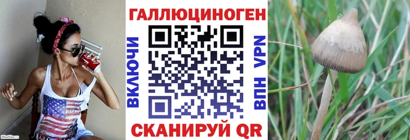 Галлюциногенные грибы мицелий  Приволжск 